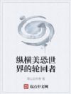 縱橫美恐世界的輪回者